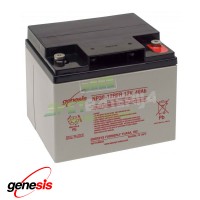 GENESIS NP38-12 12V 40Ah SLA VRLA AGM BATERIJA ENERSYS 6FM38 